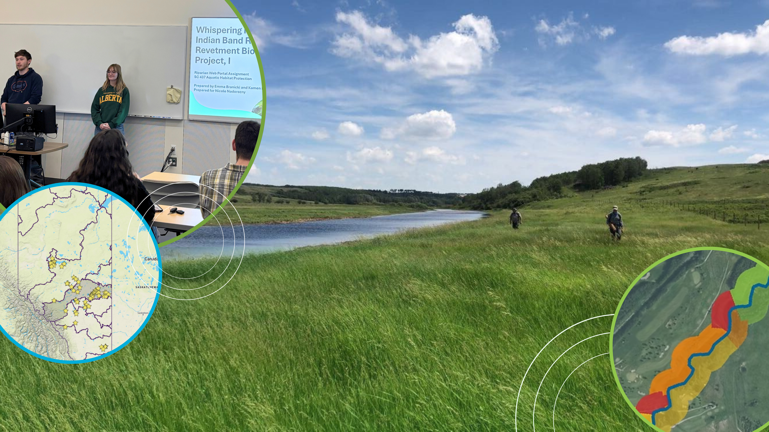 Early-stage ecological restoration with native plantings in a prairie landscape