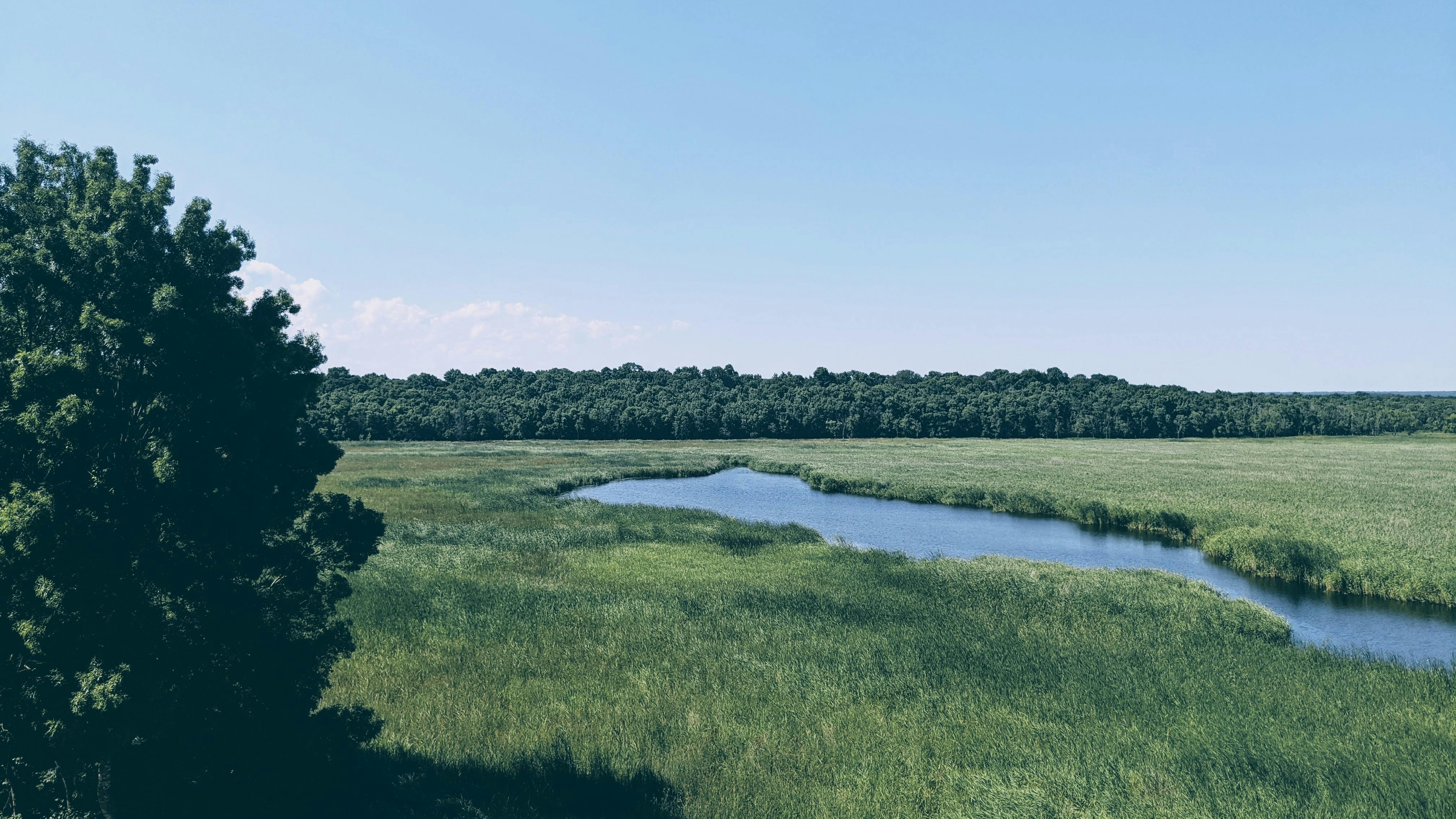 Serene creek flowing through lush prairie grassland and trees